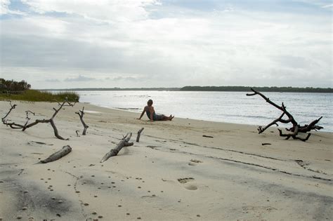 Carolina Beach State Park | Outdoor Project