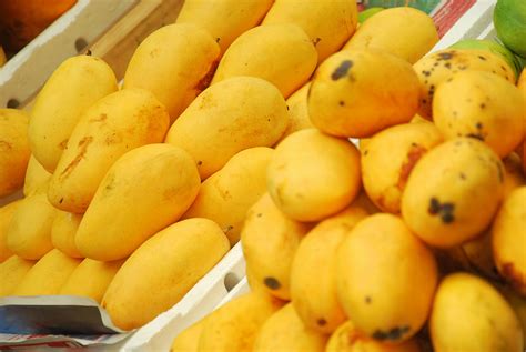 Why You Should Be Eating Mangoes Next Time You’re High