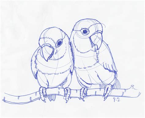 2 Love Birds Pencil Sketch Love Birds Drawing Images At - Love Birds ...