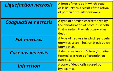 Describe the different types of necrosis and identify condit | Quizlet