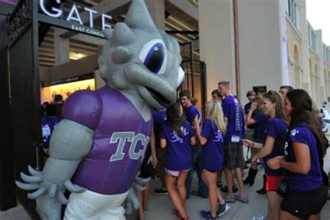 College Sports: The 12 Best Animal Mascots | BeChewy