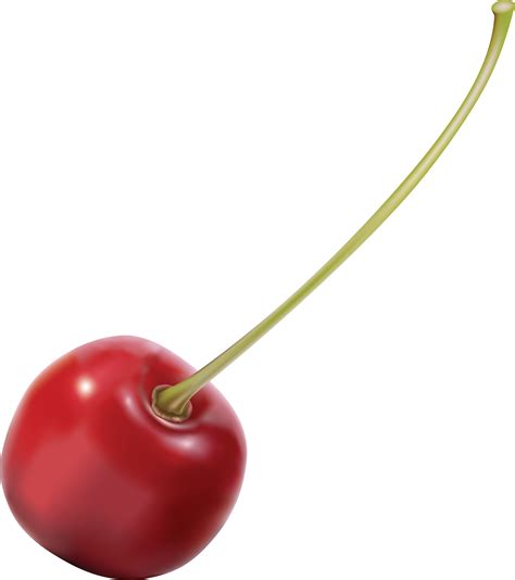 cherry PNG image