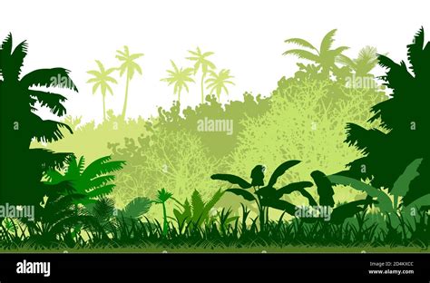 Jungle silhouette vector. Dense thickets and lush grass. Bright sunny day. Trees, shrubs and ...