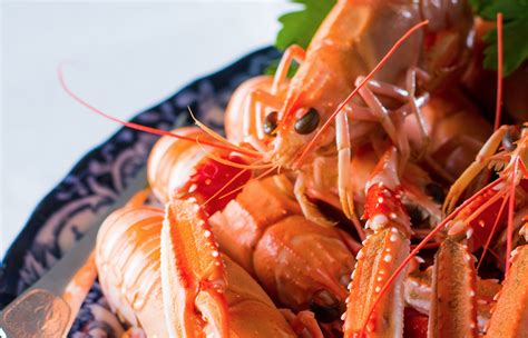 Japan gets a taste for more Scottish seafood – Daily Business