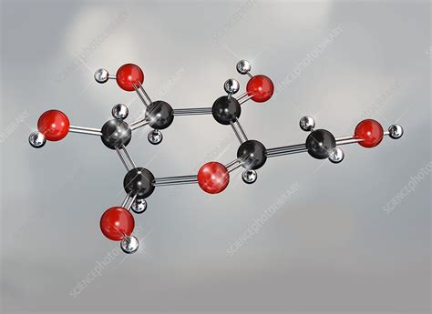 Glucose sugar molecule - Stock Image - F003/5082 - Science Photo Library