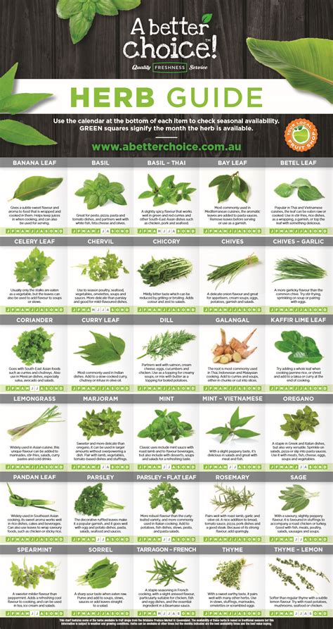 Seasonal Herb Guide - A Better Choice | Herb guide, Medical herbs, Herbs