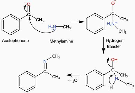 Ch3nh2 Reaction