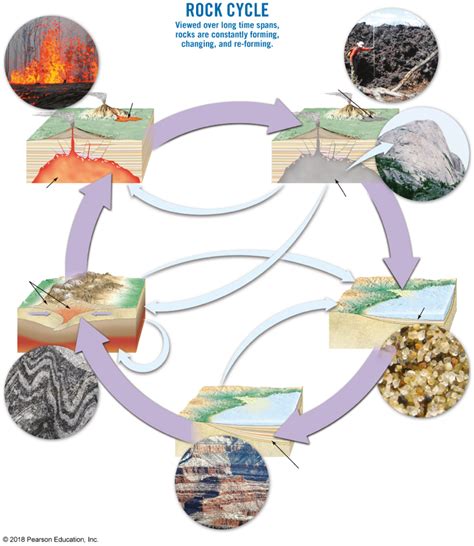 [Solved] Using the Rock Cycle diagram below, fill in the purple and blue... | Course Hero