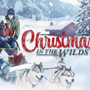 Christmas in the Wilds - Rotten Tomatoes