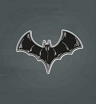 Black Bat Doodle Cartoon White Vector, Doodle, Cartoon, White PNG and ...