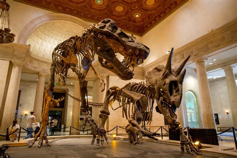 #MindBlownLA: A Day with Dinosaurs at the Natural History Museum of Los ...