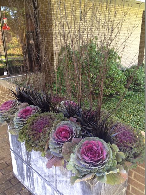 Black twigs, ornamental kale. Perfect planters | Fall container gardens, Fall planters, Autumn ...