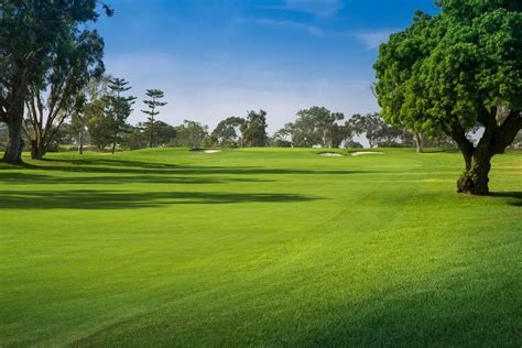 How short to mow your lawn if you want U.S. Open-style conditions