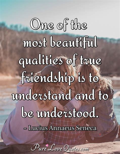 50 Friendship Quotes for True Friends | PureLoveQuotes