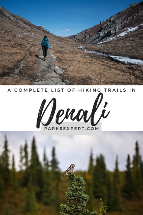 Best Hikes in Denali National Park: Every Trail Ranked 2024