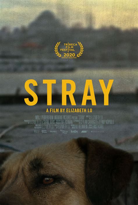 Stray Movie Poster - Chargefield