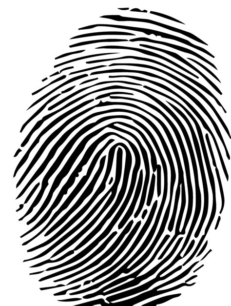 Fingerprint clipart cool, Fingerprint cool Transparent FREE for ...