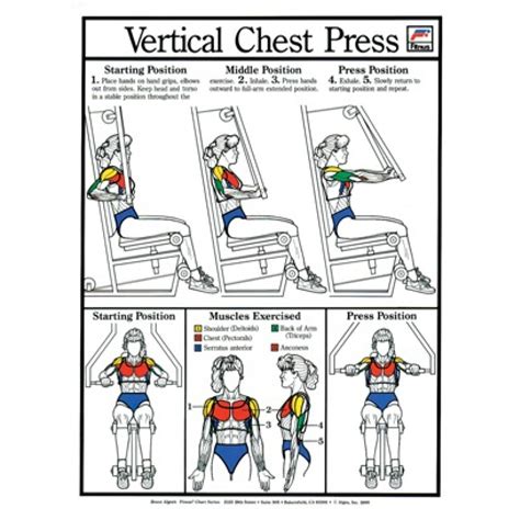 VERTICAL CHEST PRESS CHART