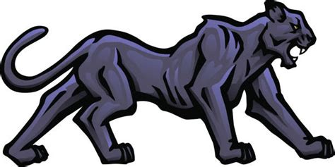 Black Panther Stalking stock vectors - iStock