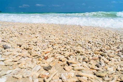 Coral Beach Skye Island in Scotland, Like Tropical Paradise Stock Photo - Image of ocean, coral ...