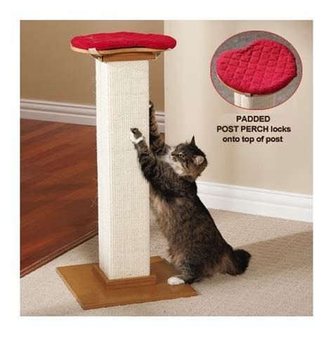 Perch Seat for SmartCat Ultimate Smart Cat Scratch Sisal Post | eBay