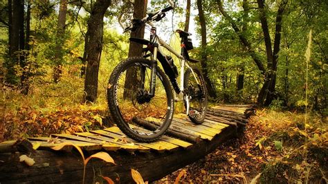 HD wallpaper: Bicycle, nature | Wallpaper Flare