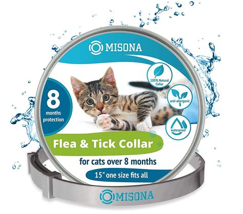 The Best Flea Treatments for Cats of 2020 — ReviewThis