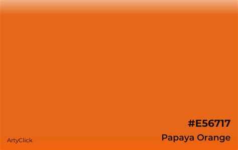 Papaya Orange Color | ArtyClick