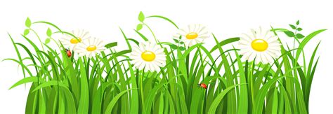 Grass Vector PNG Image - PurePNG | Free transparent CC0 PNG Image Library