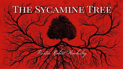 The Sycamine Tree | Pastor Robert Wimberley - YouTube