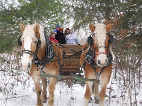 Sleigh Rides at Christmas Mountain Village~ Great winter family place ...