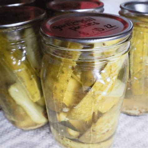 Garlic Dill Pickle Recipe - 1898 Mama