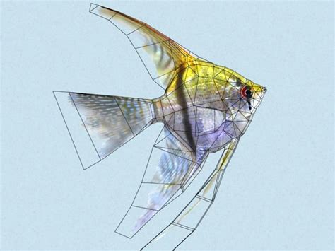 3d Model Pterophyllum Scalare