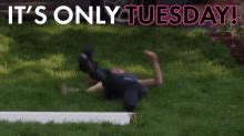 Tuesday GIFs | Tenor