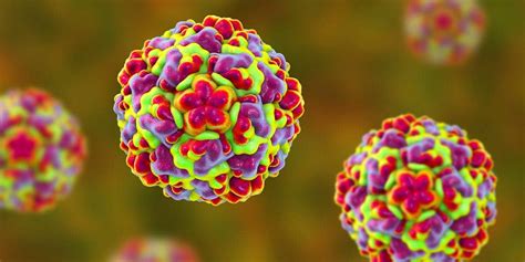 Rhinovirus, Enterovirus Continued to Circulate During Pandemic ...