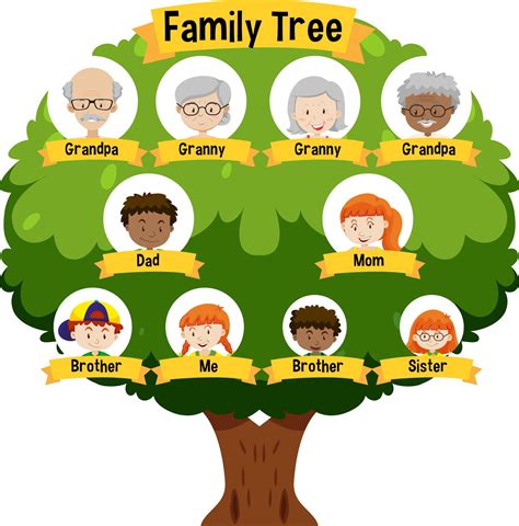 Family tree template - 68 photo
