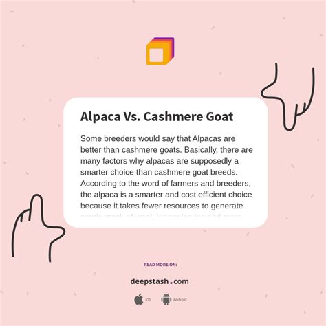 Alpaca Vs. Cashmere Goat - Deepstash