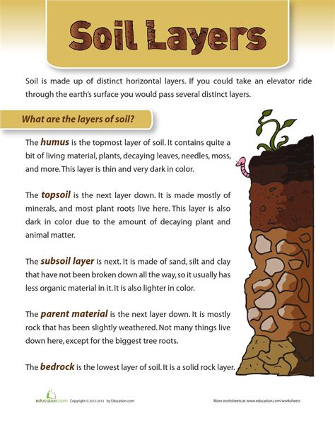 Layers Of Soil Worksheets