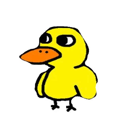 Duck Sticker by imoji for iOS & Android | GIPHY