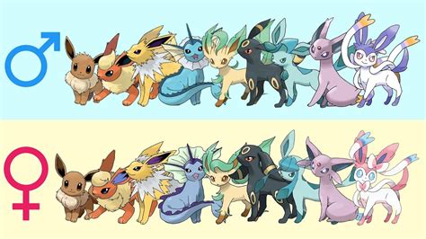 All Eeveelutions Gender Difference Fanart - YouTube