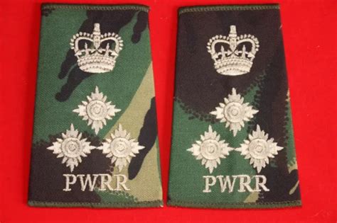 BRITISH ARMY PRINCESS Of Wale's Royal Regiment Metal Shoulder Title ...