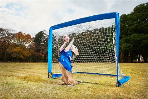 Video Of The Week - A Sneak Peek At The 2016 Guinness World Records Kids News Article