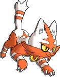 Torracat Pokédex: stats, moves, evolution & locations | Pokémon Database