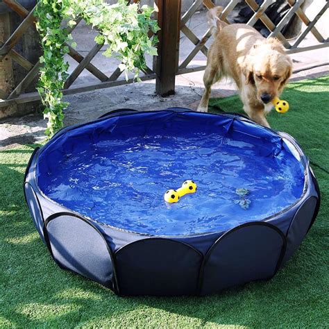 10 Best Dog Pools to Keep Your Pet Cool This Summer (Updated)