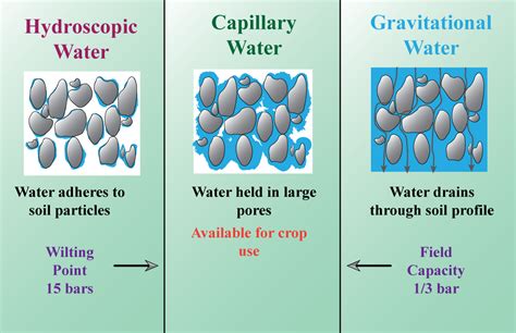 Generally, gravitational water is utilized by the plants. Explain the statement.