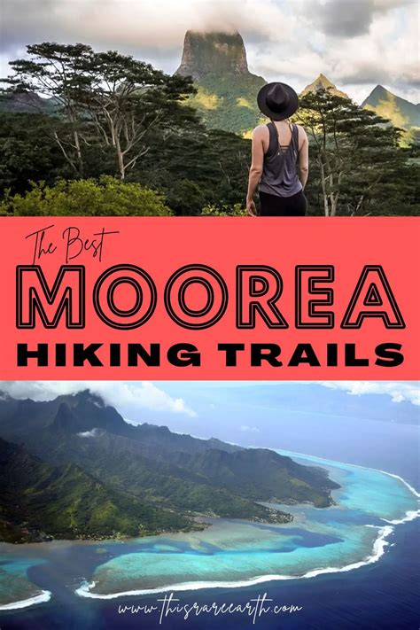 A Moorea Hiking Guide - This Rare Earth