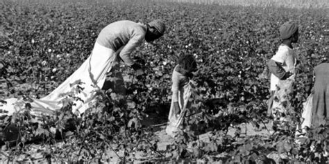 Research 1: Blacks Sharecropping in the South - Roll of Thunder, Hear ...