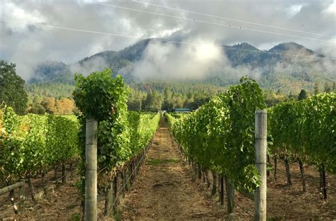 Taste the Flavors of Southern Oregon Wine Country | Good Sam Camping