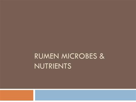 PPT - Rumen microbes & nutrients PowerPoint Presentation, free download - ID:2436437