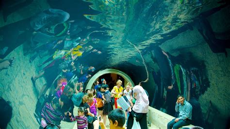 Dallas World Aquarium in Dallas, Texas | Expedia